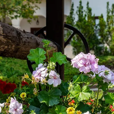 Guest house Garabo Garden Paloznak